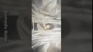 Eren Edit 🔥 shorts attackontittan anime [upl. by Lynsey47]