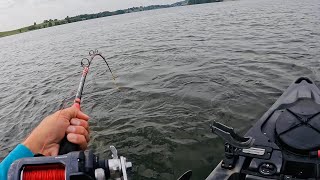 HUGE Catfish SLAMS Kayak Rod [upl. by Langelo]