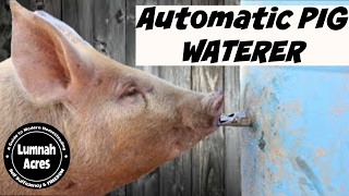 Automatic Pig waterer [upl. by Layod]