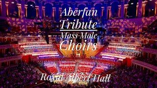 Aberfan Tribute  Don’t Go Chasing Shadows  Welsh Festival of Male Choirs Royal Albert Hall [upl. by Seraphina]