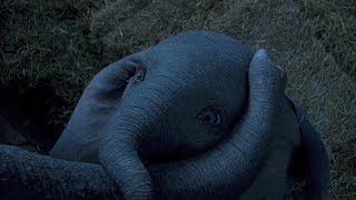 Dumbo 2019  quotBaby Minequot Clip HD [upl. by Etty]