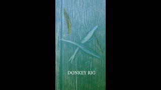 The Donkey Rig Underwater Footage shorts [upl. by Figueroa]