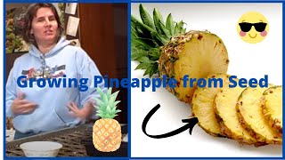 Youll Never Throw Away Pineapple Peels After Watching This [upl. by Ester]