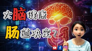 科学证实的【人体第二大脑】 肠胃对大脑功能的影响 [upl. by Othella613]