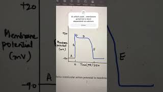 PhysiologyMCQs  cardiovascular system mbbs1styear physiologyquiz physiology [upl. by Heyde]