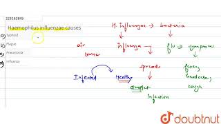 Haemophilus influenzae causes   CLASS 12  HUMAN HEALTH AND DISEASE  BIOLOGY  Doubtnut [upl. by Kraul186]