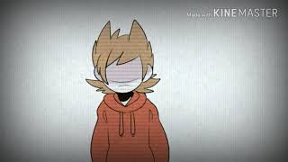 EDDSWORLD ECHO [upl. by Kuehnel]