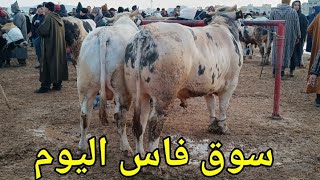 سوق أحد فاس 3112024 أثمنة العجل الكسابي وحليب وكزاري فرجة ممتعة وشكرا [upl. by Roddie229]