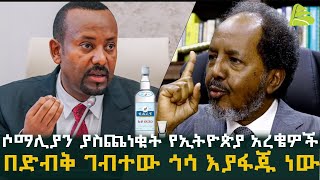 Ethiopia  ሶማሊያን ያስጨነቁት የኢትዮጵያ አረቄዎች l በድብቅ ገብተው ጎሳ እያፋጁ ነው [upl. by Yojenitsirk]