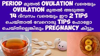 2 Powerful tips for quality egg formation and Baby Implantation Deechus world cinnamon Fig [upl. by Stanwinn529]