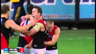 AFL  David Zaharakis Match Winning Goal vs Carlton 2013 [upl. by Kcirre277]