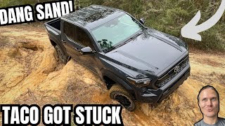 First Dirt For My 2024 Tacoma TRD Off Road  We Got Stuck [upl. by Connelly]