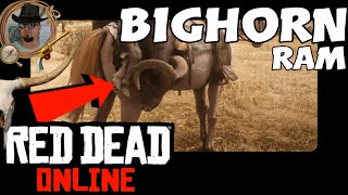 Bighorn Ram Best Locations in Red Dead Online [upl. by Vernon]