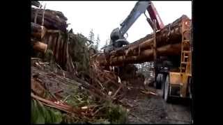 Extreme trucking on Vancouver Island [upl. by Eidolem59]