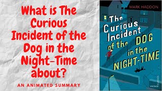 The Curious Incident of the Dog in the Night Time by Mark Haddon [upl. by Avevoneg426]