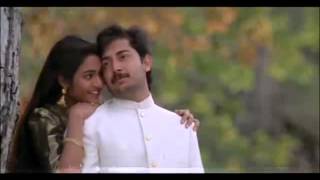 Roja Janeman Tu Hi Arvind Swamy Madhoo Roja Movie Songs S P Bala A R Rahman Hits Sushovan [upl. by Eanil]