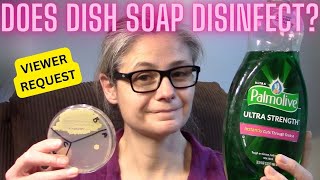 Does Dishsoap Remove Bacteria Around My Home Tested wPetri dishes VIEWER REQUEST [upl. by Adnoloy]