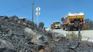 Occitanie feux maîtrisés dans lHérault et les PyrénéesOrientales  AFP [upl. by Artemed]