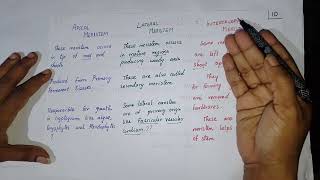 DIFFERENCE BETWEEN Apical Intercalary and Lateral meristem [upl. by Bergen]