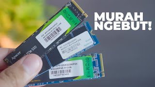 Rekomendasi SSD NVME Budget Dari Apacer Yang Terjangkau  Keluarga Apacer AS2280P4 [upl. by Eissert47]