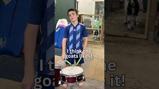 Rhythm and Hooves Kid Drummer Captivates His Goat Audience goat goatfarming animalmusic drums [upl. by Nylodnarb]