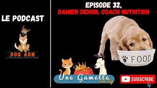 32 Une gamelle au top Damien DEHON [upl. by Yreved]