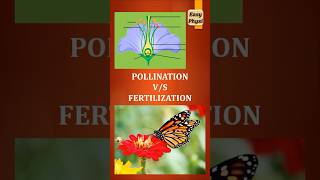 Pollination vs Fertilization Class 10 Reproduction in Plants shorts [upl. by Doble]