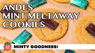 Andes Mint Meltaway Cookies [upl. by Amalle]