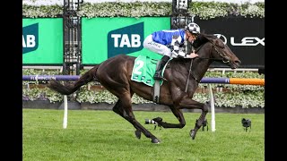 Caulfield Cup 2023 RunnerByRunner Preview [upl. by Oratnek822]