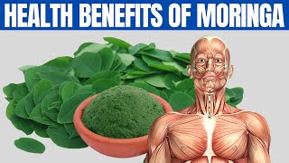 MORINGA BENEFITS  16 Amazing Health Benefits of Moringa You Should Know [upl. by Enair400]