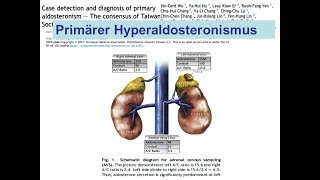 Primärer Hyperaldosteronismus  Conn Syndrom [upl. by Tollmann]