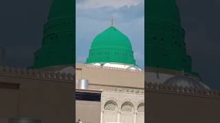 Roza e Rasool SAW madina islamicvideo islamicstatus viralshorts shorts shortsvideo ytshorts [upl. by Ygief]