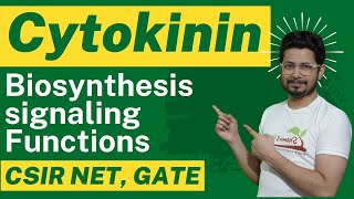 Cytokinin hormone biosynthesis and cytokinin function [upl. by Thorny]