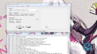 How To Rip and Burn Playstation 2 DVD Games with DVD Decrypter Tutorial [upl. by Eentrok]