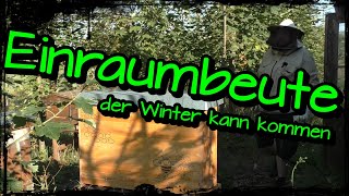 Imkern mit der Einraumbeute 9 Durchsicht  der Winter kann kommen imkern einraumbeute biene [upl. by Dorrahs]