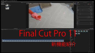 Final Cut Pro 11新機能紹介 [upl. by Tomkins573]