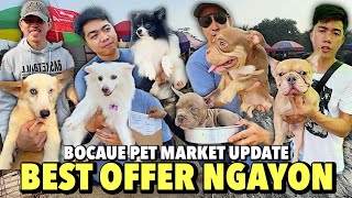 QUALITY AT SOLID NA MGA PETS NGAYON SA BOCAUE  BOCAUE PET MARKET UPDATE  NOVEMBER 08 2024 [upl. by Oni]