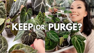 I challenged myself to purge 20 plants [upl. by Alleynad]