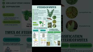 Pteridophytes  Plant kindgom  biology class11th plant  Manan Sachdeva  Bio Archives [upl. by Nahte508]