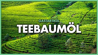 Teebaumöl – ein kleines Alleskönner mit großer Wirkung [upl. by Ayik377]