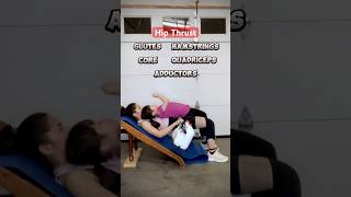 workout glutes hamstrings core quadriceps adductors buildmuscle tighten homeworkout shorts [upl. by Treblihp]