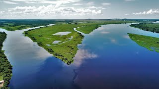 Estación Tres Gigantes  Pantanal Paraguayo [upl. by Aiker]