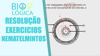 BIO LOGICA RESOLUÇÃO DE EXERCÍCIOS  NEMATELMINTOS [upl. by Jahncke692]