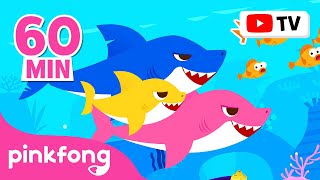 Baby Shark Dance More and More  Doo Doo Doo 60 Min  Baby Shark NonStop  Pinkfong Songs for Kids [upl. by Analli869]