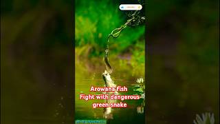 💥🦈 FISH VS SNAKE FIGHT 🐍💥 shorts shortsfeed fishlover snake fight ytshorts [upl. by Xela]