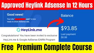 Approved My Heylinkme Linktree Google Adsense in 12 hours Earn Money Online Tutorial Urdu Hindi [upl. by Allimak273]