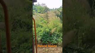 Lamding to Badarpur Hill section view hills traval assam [upl. by Langer210]