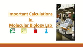 calculations in molecular biology lab part 1 [upl. by Nitsyrc]