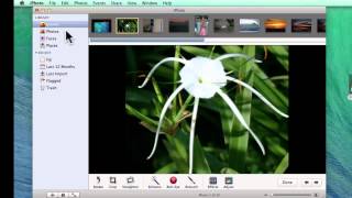 Move from iPhoto to Picasa for Mac [upl. by Alihet]