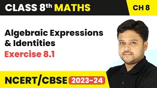 Algebraic Expressions and Identities  Exercise 81  Class 8 Maths Chapter 8 [upl. by Emmons789]